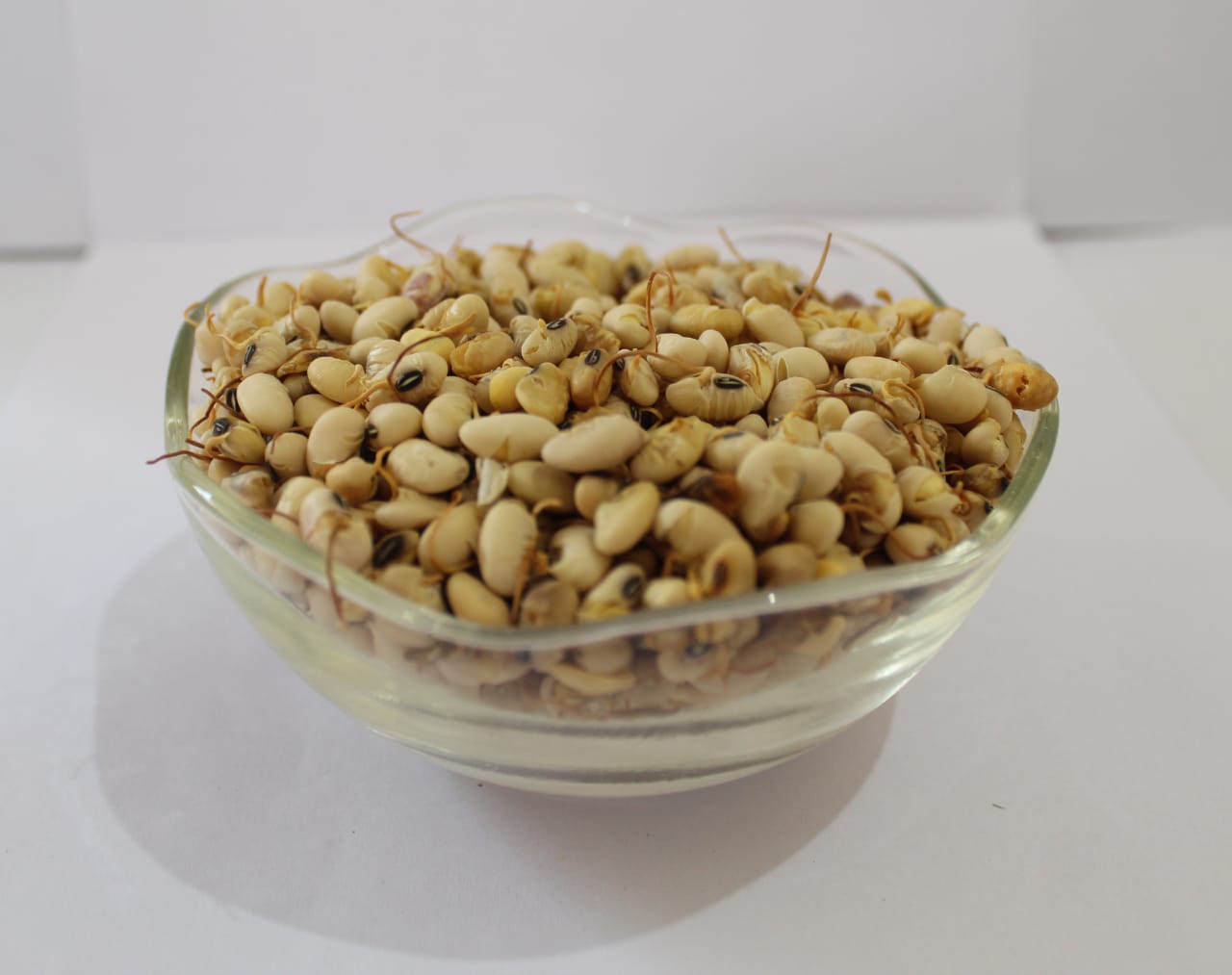 Industrial Robot Arm